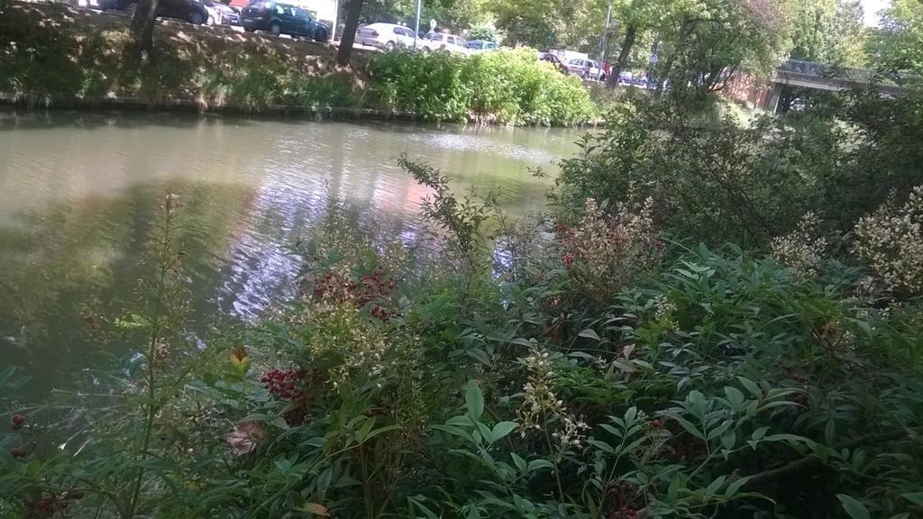 Appartement Matabiau Toulouse Bilik gambar
