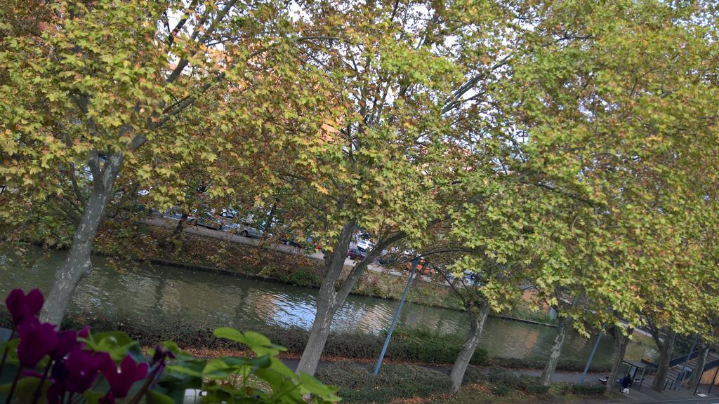 Appartement Matabiau Toulouse Luaran gambar